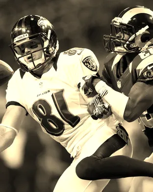 Baltimore Ravens Arlington
