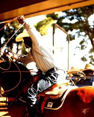 Bill Pickett Rodeo Dallas
