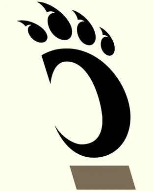 Cincinnati Bearcats Fort Worth