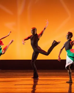 Dallas Black Dance Theatre Dallas