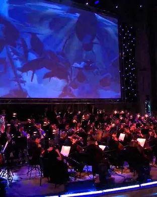 Fantasia Fort Worth