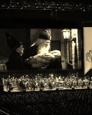 Harry Potter Dallas