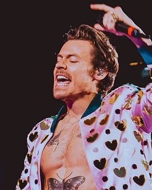 Harry Styles Arlington