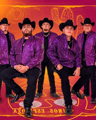 Hermanos Espinoza Irving