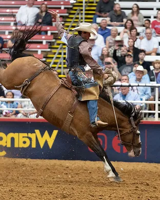Mesquite Championship Rodeo Mesquite