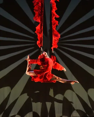 Momix Dallas