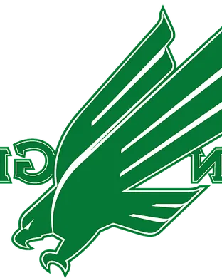 North Texas Mean Green Dallas