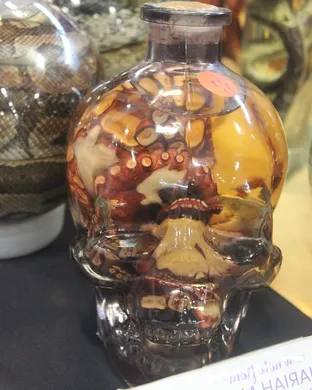 Oddities and Curiosities Expo Dallas