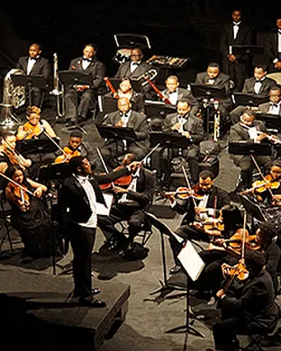 Orchestra Noir Dallas