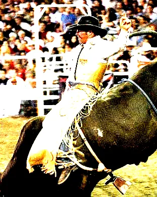 Pbr - Professional Bull Riders Fort Worth