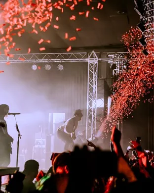Pierce The Veil Arlington
