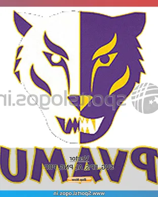 Prairie View A&m Panthers Football Dallas