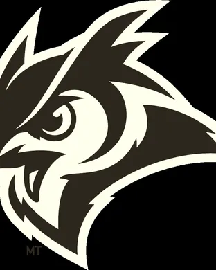 Rice Owls Football Denton