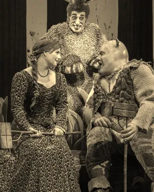 Shrek The Musical Dallas