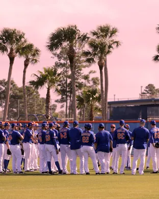 Spring Training Dallas
