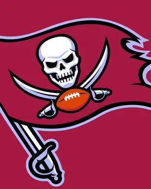 Tampa Bay Buccaneers Arlington