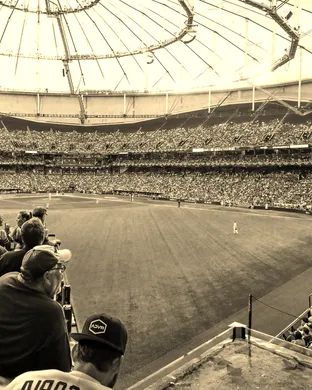 Tampa Bay Rays Dallas