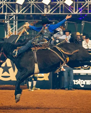 The American Rodeo Arlington