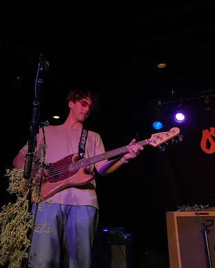 The Moss Dallas