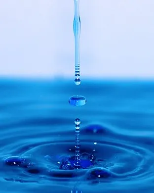 Water for Elephants - The Musical Dallas