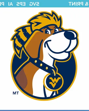 West Virginia Mountaineers Fort Worth