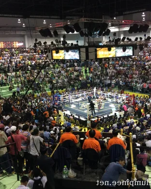 ProboxTV Arlington