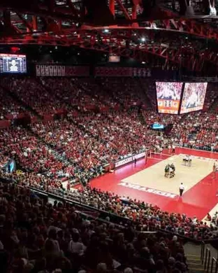 Arkansas Razorbacks Women's Volleyball Fayetteville